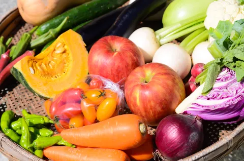 野菜と果物のイメージ