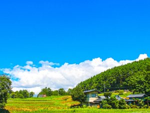 妥協と我慢の土地選び？これが現実か！