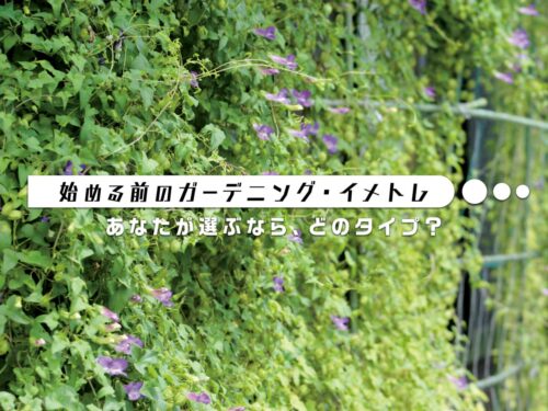 特集コラム記事のサムネイル