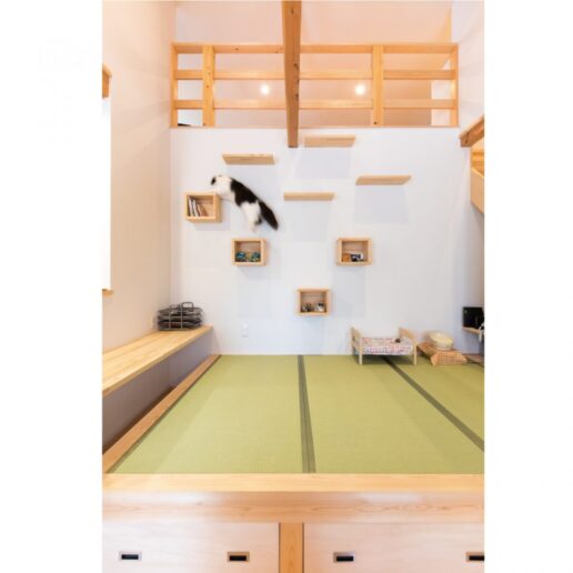 小上がり畳コーナーから小屋裏へつながる壁にキャットウォークを設けました。飾り棚にもなる小箱にはセンス良くインテリアを飾っています。