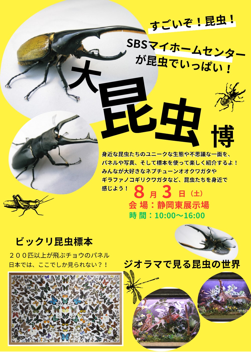 大昆虫博【静岡東】 | SBSマイホームセンター - 静岡県下最大の住宅展示場 
