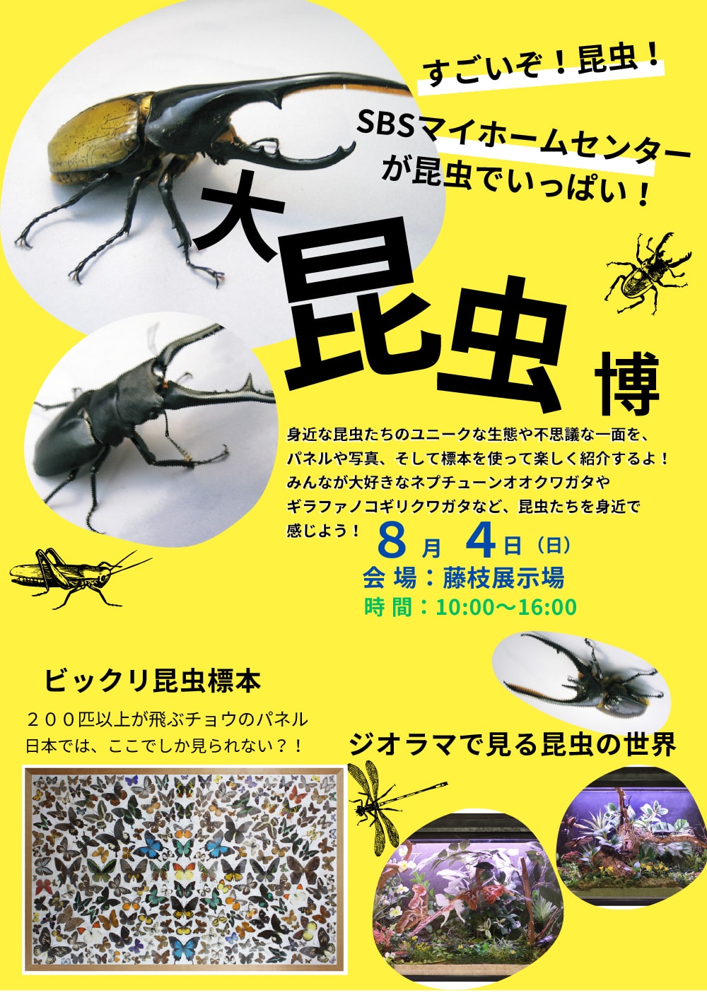 イベントチラシ