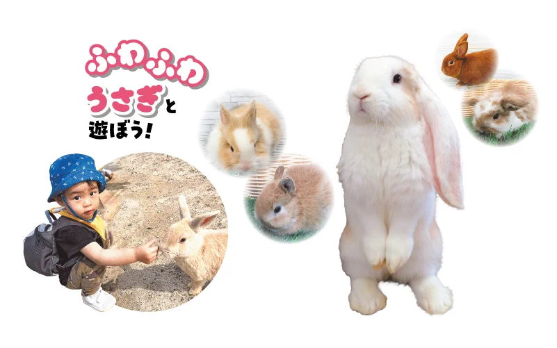 イースターのわくわく先取り！ Happy Lucky！Easter Wonder Land