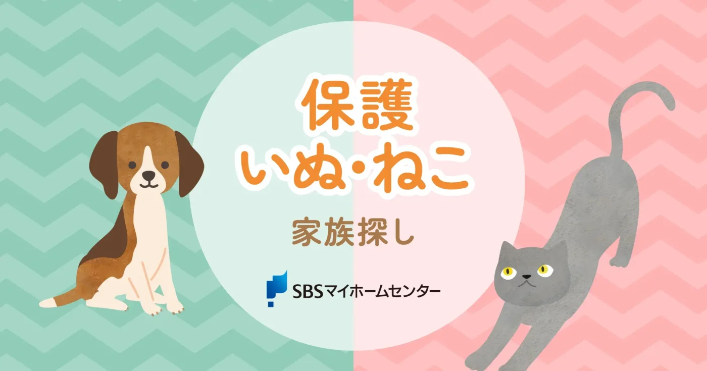 イベントのイメージ