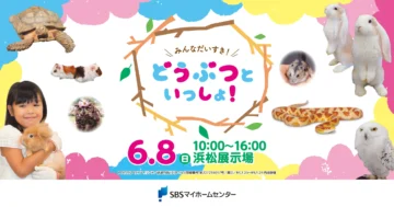 みんなだいすき！どうぶつといっしょ！のイメージ