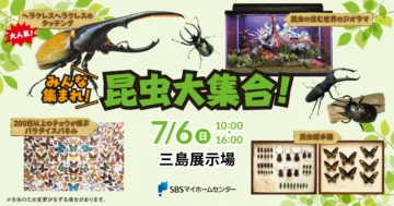 みんな集まれ！昆虫大集合！のイメージ