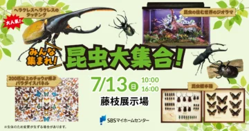 みんな集まれ！昆虫大集合！のイメージ