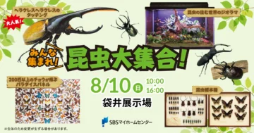 みんな集まれ！昆虫大集合！のイメージ