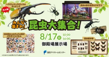 みんな集まれ！昆虫大集合！のイメージ