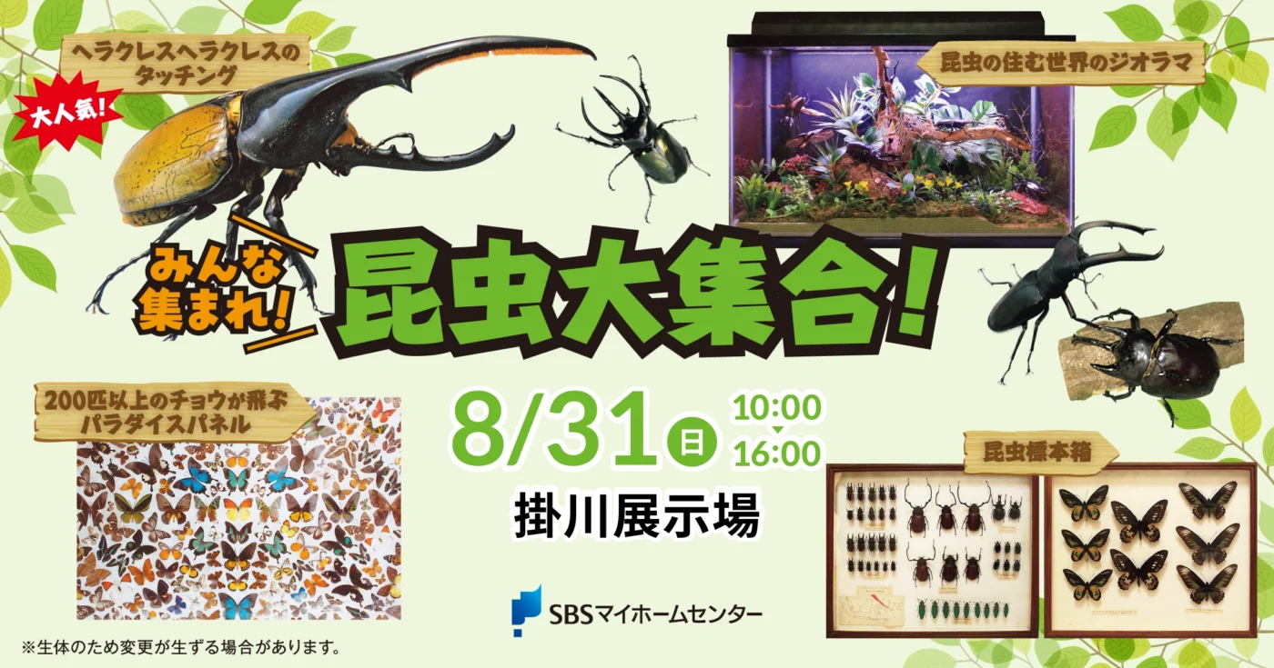 イベントのイメージ