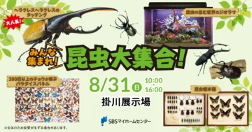 みんな集まれ！昆虫大集合！のイメージ