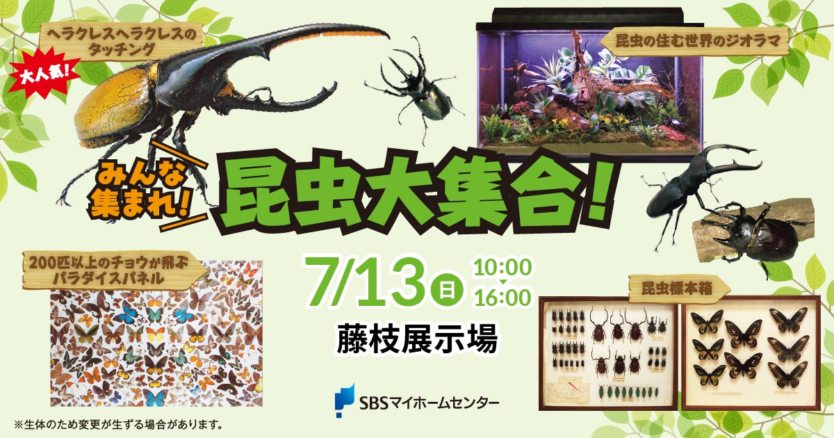 みんな集まれ！昆虫大集合！【藤枝】 | SBSマイホームセンター - 静岡