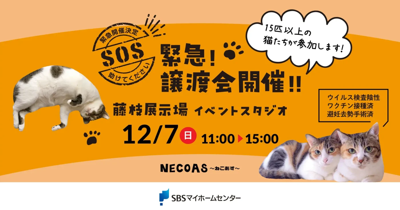 イベントのイメージ