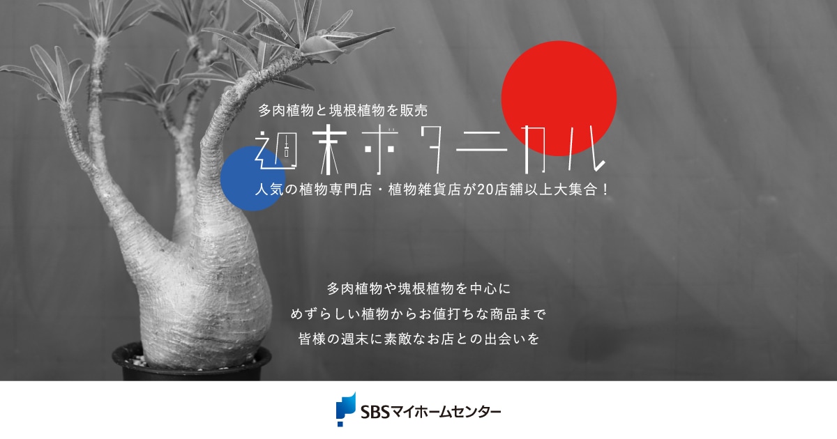 週末ボタニカル【富士】 | SBSマイホームセンター - 静岡県下最大の