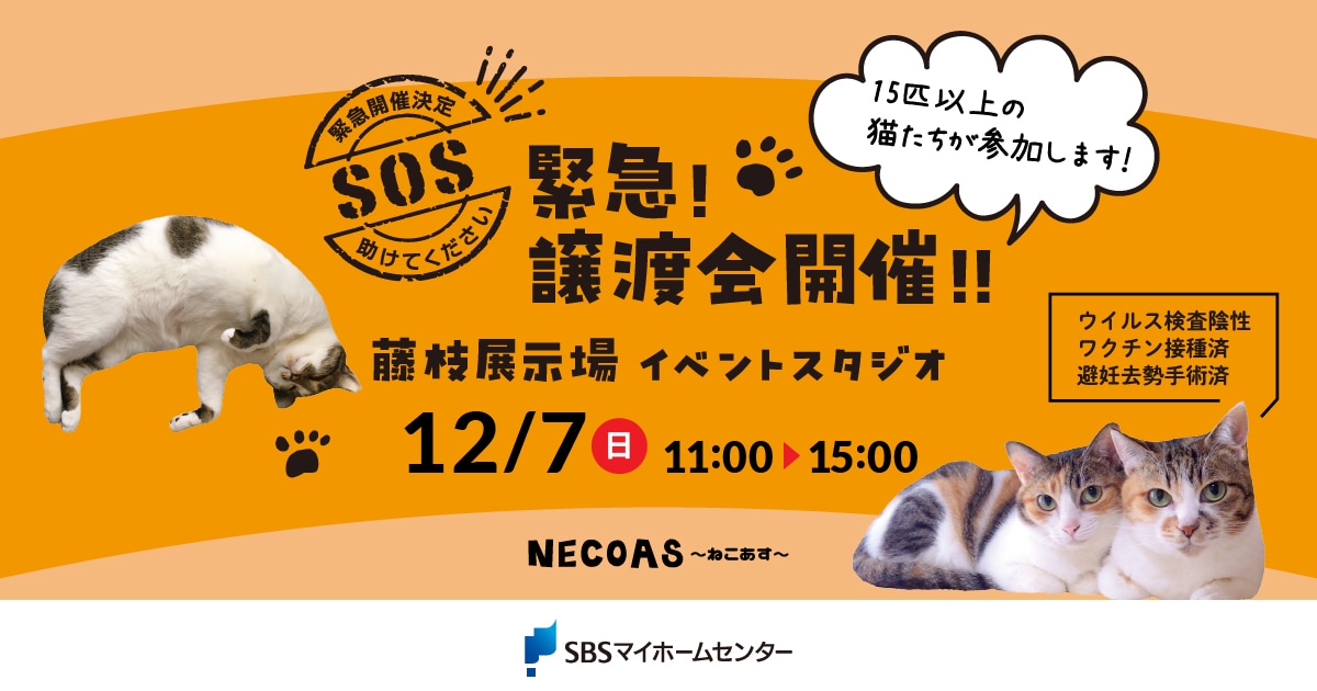 緊急！譲渡会開催！！【藤枝】 | SBSマイホームセンター - 静岡県下