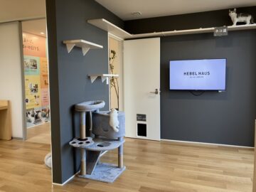 3階はペット仕様でご案内いたします。