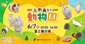 ふれあい動物園のイメージ