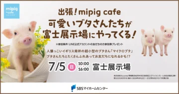 出張！mipig cafe 可愛いブタさんたちが富士展示場にやってくる！のイメージ