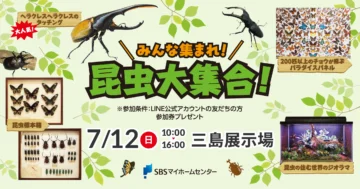 みんな集まれ！昆虫大集合！のイメージ