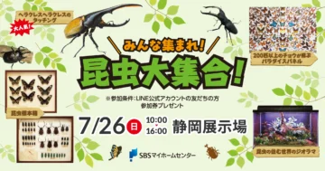 みんな集まれ！昆虫大集合！のイメージ