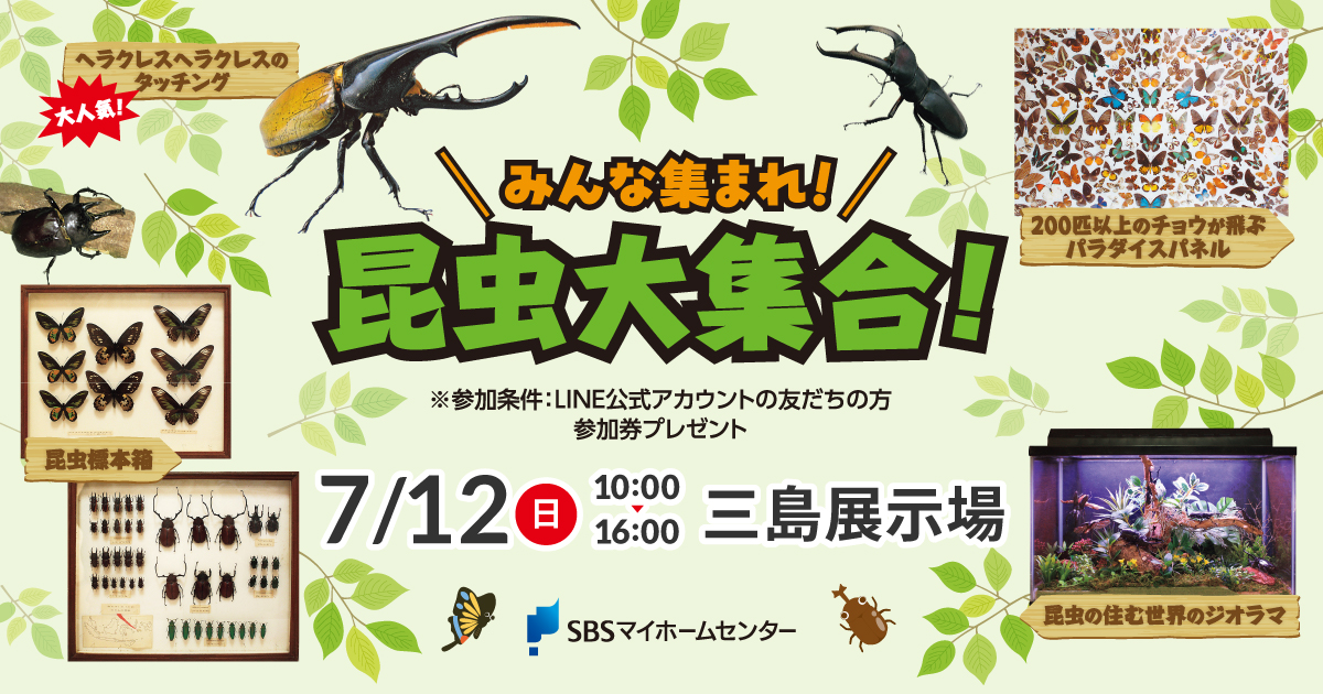 みんな集まれ！昆虫大集合！【三島】 | SBSマイホームセンター - 静岡