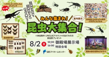 みんな集まれ！昆虫大集合！のイメージ