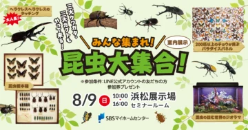 みんな集まれ！昆虫大集合！のイメージ