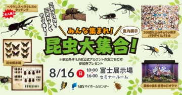 みんな集まれ！昆虫大集合！のイメージ