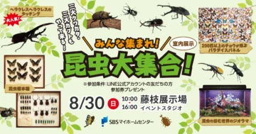 みんな集まれ！昆虫大集合！のイメージ