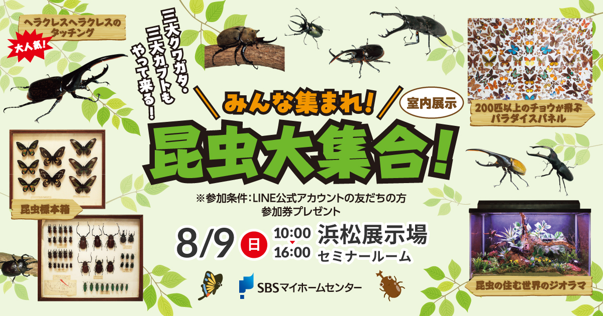 みんな集まれ！昆虫大集合！【浜松】 | SBSマイホームセンター - 静岡