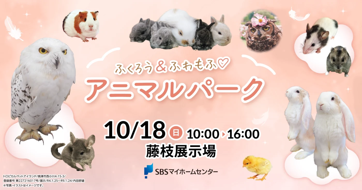 イベントのイメージ