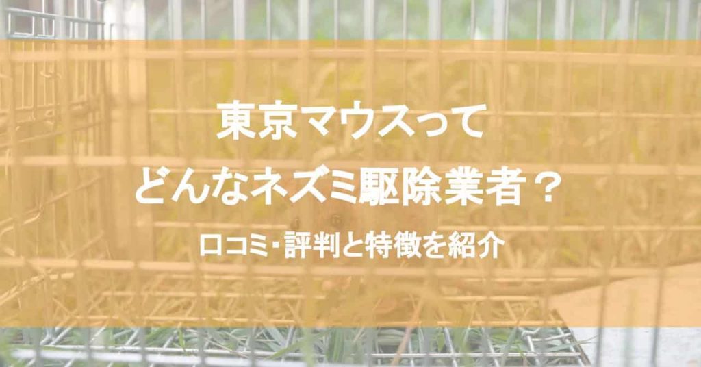 東京マウスってどんなネズミ駆除業者？口コミ・評判と特徴を紹介