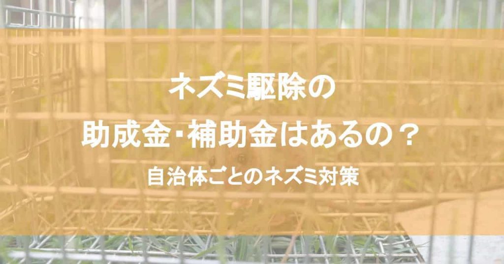 ネズミ駆除の助成金・補助金はあるの？自治体ごとのネズミ対策