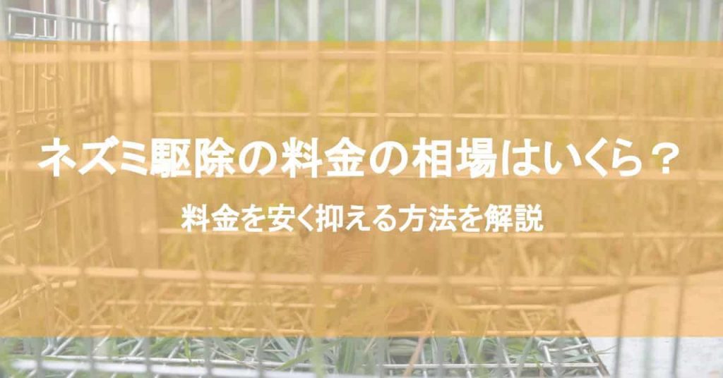 ネズミ駆除の料金の相場はいくら？料金を安く抑える方法を解説