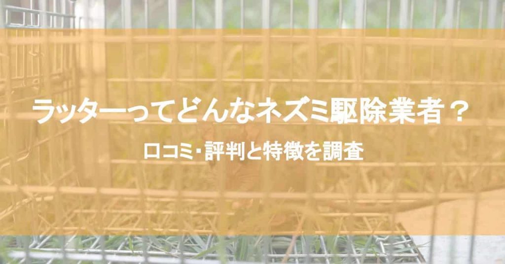 ラッターってどんなネズミ駆除業者？口コミ・評判と特徴を調査