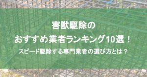 害獣駆除のおすすめ業者ランキング10選！スピード駆除する専門業者の選び方とは？