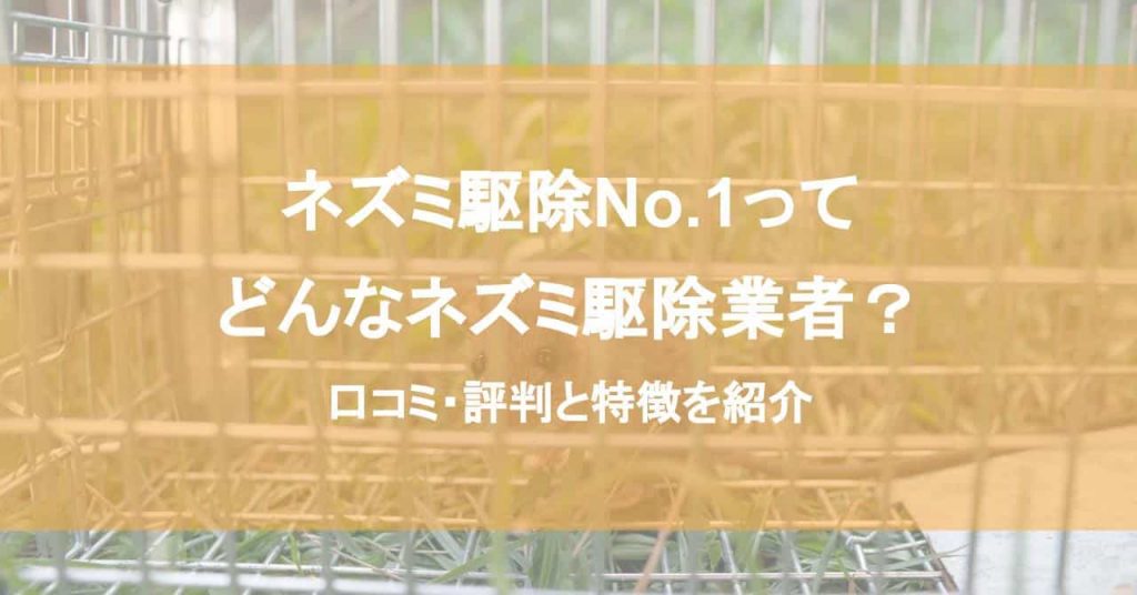 ネズミ駆除No.1ってどんなネズミ駆除業者？口コミ・評判と特徴を紹介