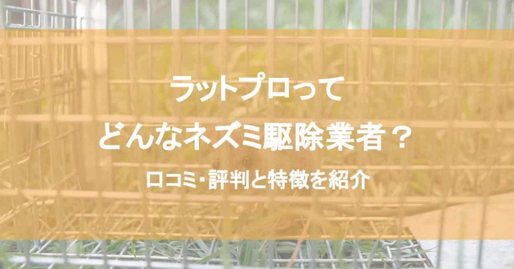 ラットプロってどんなネズミ駆除業者？口コミ・評判と特徴を紹介