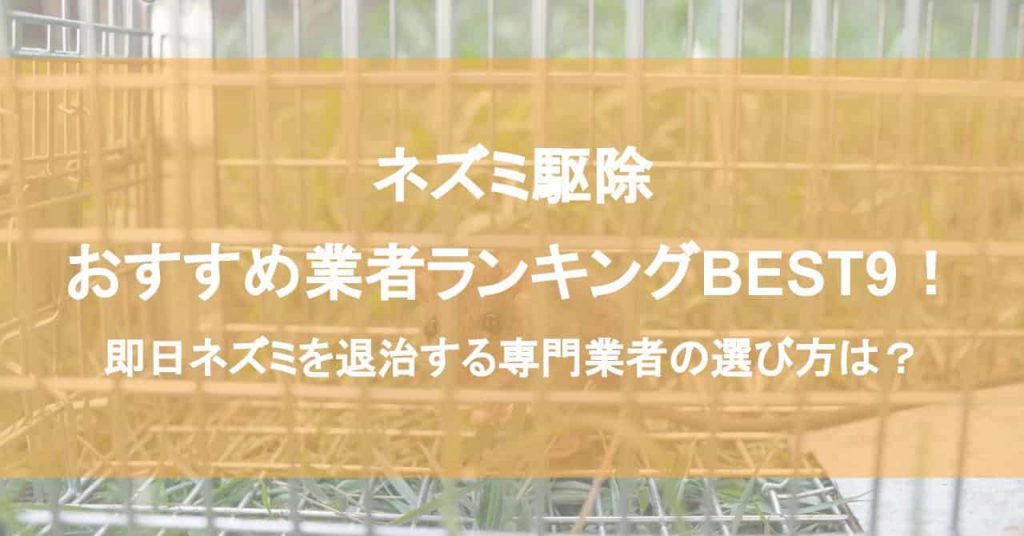 ネズミ駆除おすすめ業者ランキングBEST9！即日ネズミを退治する専門業者の選び方は？