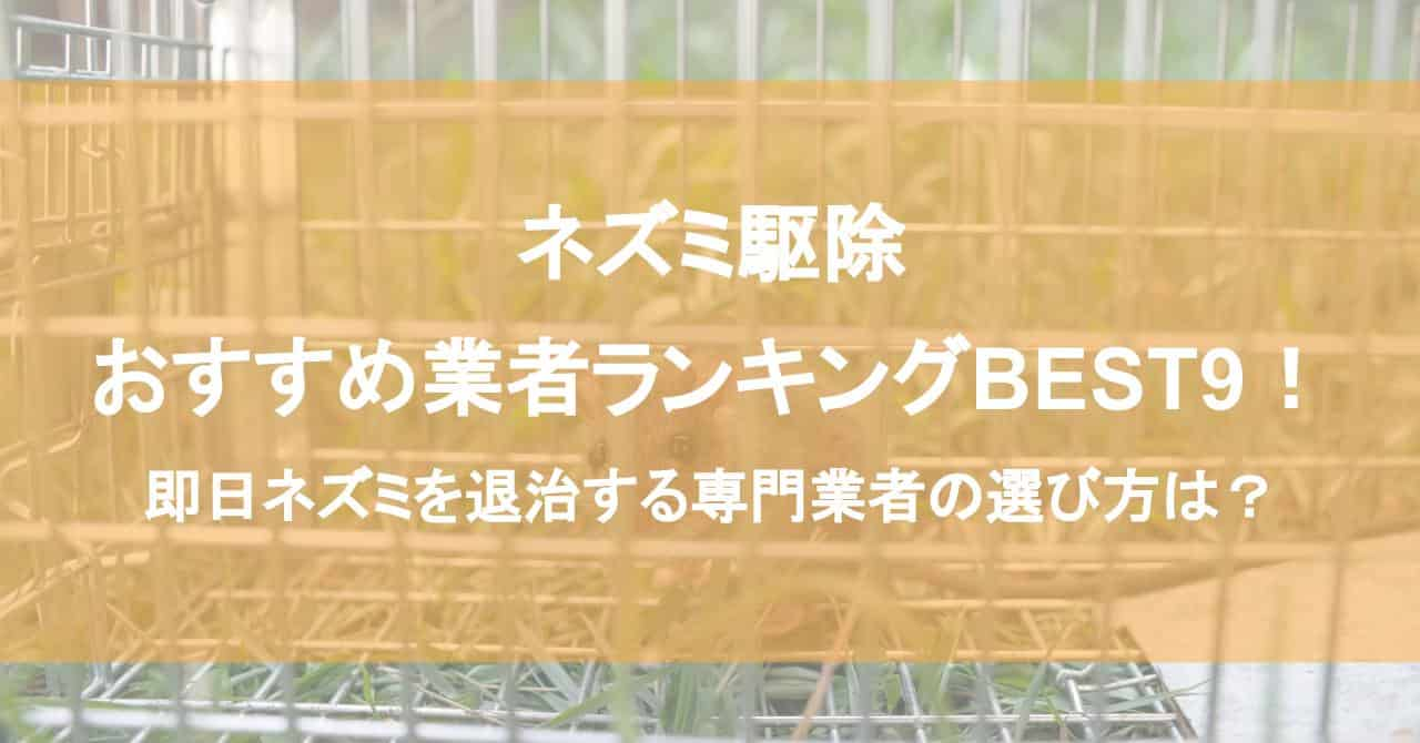 ネズミ駆除おすすめ業者ランキングBEST9！即日ネズミを退治する専門業者の選び方は？