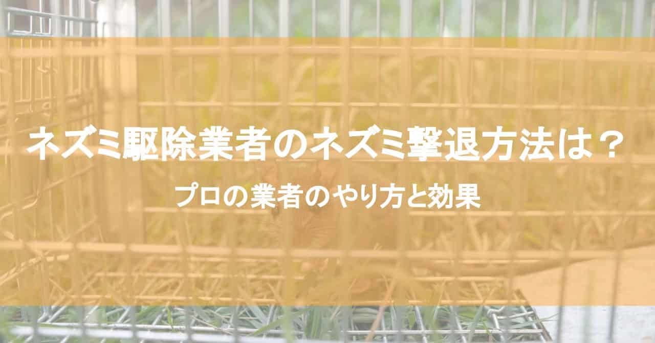 ネズミ駆除業者のネズミ撃退方法は？プロの業者のやり方と効果