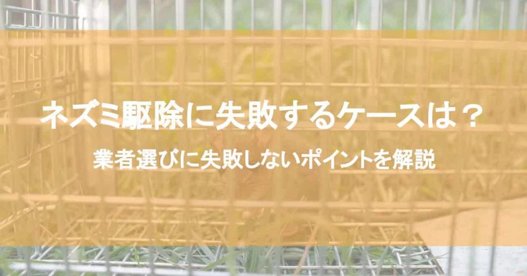 ネズミ駆除に失敗するケースは？業者選びに失敗しないポイントを解説