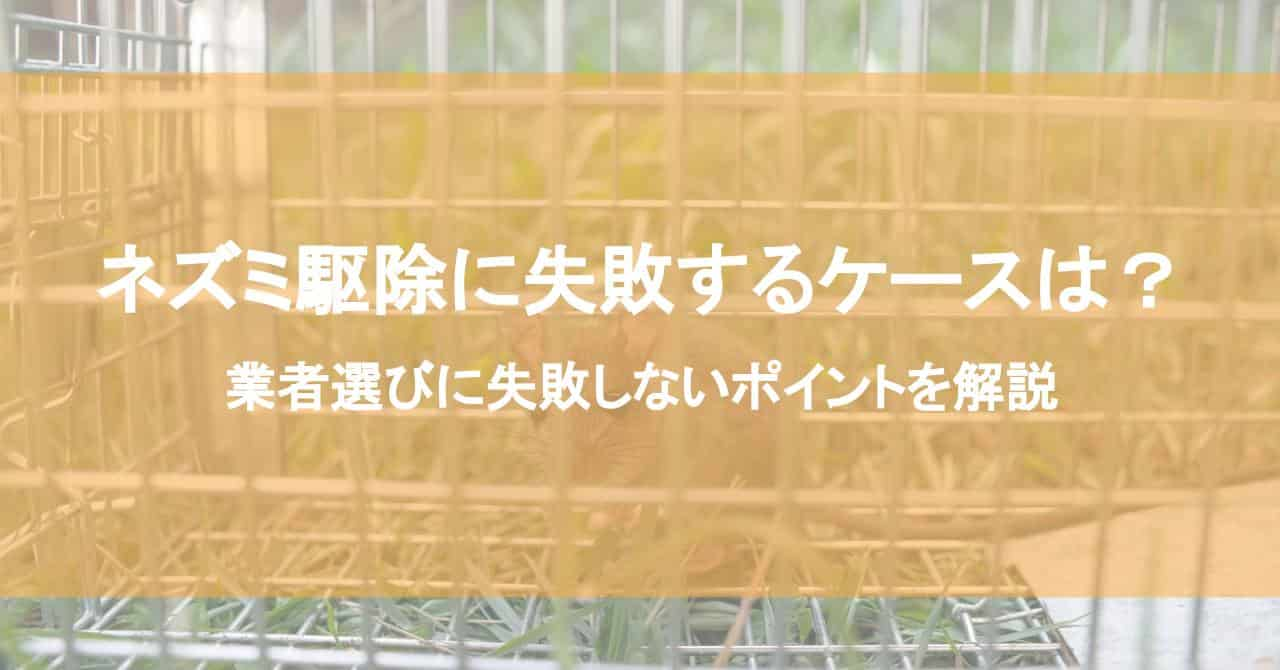 ネズミ駆除に失敗するケースは？業者選びに失敗しないポイントを解説