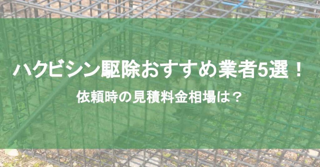 ハクビシン駆除おすすめ業者6選！依頼時の見積料金相場は？