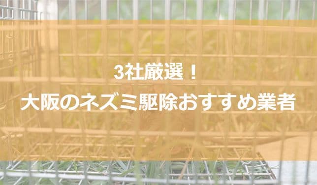 【大阪】ネズミ駆除おすすめ業者3社！低料金で大阪市・堺市・東大阪市に対応する業者は？