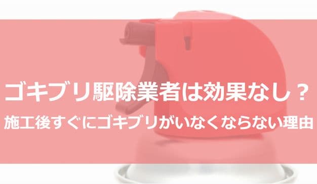 ゴキブリ駆除業者では効果なし?施工後すぐにゴキブリがいなくならない理由