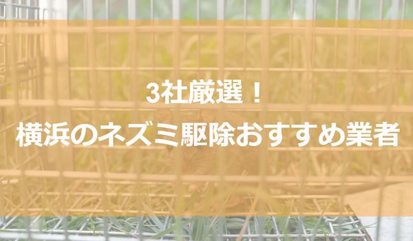 横浜のネズミ駆除