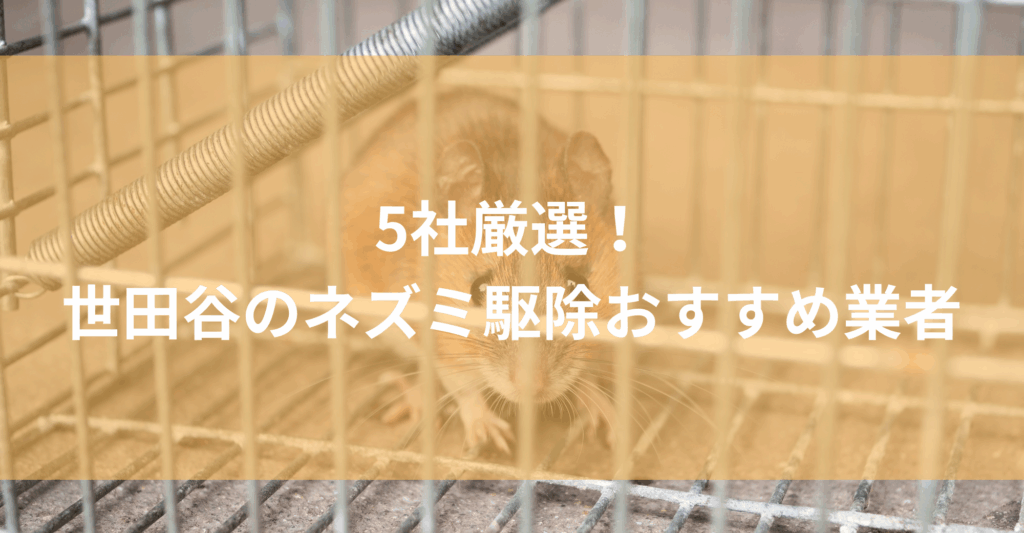 【世田谷】ネズミ駆除おすすめ業者5社！低料金で対応する東京・世田谷エリアの業者