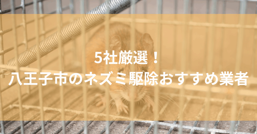【八王子市】ネズミ駆除おすすめ業者5社！低料金で対応する八王子市エリアの業者