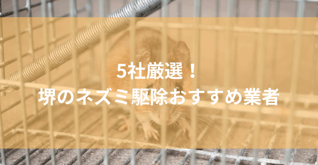【堺】ネズミ駆除おすすめ業者5社！低料金で対応する堺エリアの業者